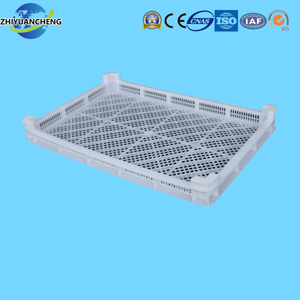 Combinaison marine: Plateaux concombre de mer + fruits de mer | PP résistant à la corrosion avec <span class=keywords><strong>grille</strong></span> d'égouttage - Product Image 3