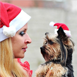 Nouvelles décorations de Noël, chapeaux de Noël pour animaux de compagnie, chapeaux pour chiens, chapeaux en peluche pour animaux de compagnie pendant Noël. - Product Image 2