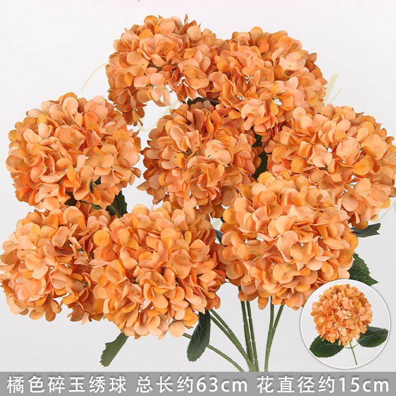 Hortensia de couleur orange avec des feuilles