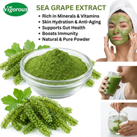 Extrait de raisin de mer Caulerpa Lentillifera, approvisionnement direct d'usine, certifié ISO et GMP