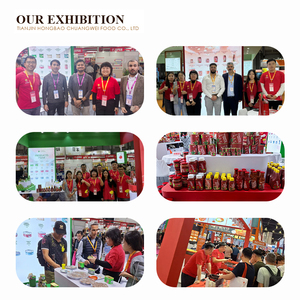 Vendita calda gustosa e piccante salsa di hamburger dalla Cina sapore unico in bottiglia bustina o confezione in borsa a prezzo scontato - Product Image 5