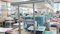 Bros Daun Teratai Zirkonia Kubik Mutiara Paduan Enamel Ikan Mas Gaya Cina Antik untuk Mantel Wanita