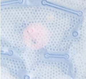 Refroidisseur de siège de voiture lavable, coussin de refroidissement isolé pour siège de voiture pour bébé - Product Image 3