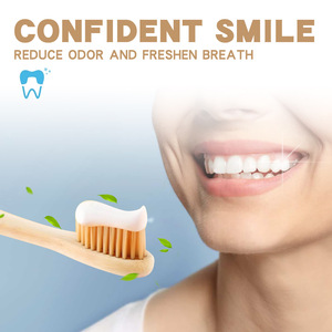 Pasta Dental Probiótica SP-4 OEM 120g, Blanqueadora, Cuidado Bucal, Aliento Fresco, Anti-Caries, Sabor a Menta Orgánica, Limpieza Dental para Uso Doméstico - Product Image 4