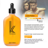 Recharge de parfum de voiture 100ml Diffuseur de voiture liquide Huile essentielle Diffuseur d'huile de parfum parfumé de luxe pour voiture