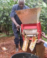 Top vente haute vitesse épluchage de fèves de cacao dédécorticage machine à éplucher les fèves de cacao enlevant la machine à éplucher le cacao pour la ferme