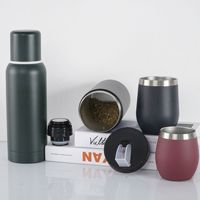 Thermos à Yerba Maté avec poignée et ensemble de gourde, en acier inoxydable 18/8, isotherme sous vide, avec bombilla