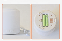 Lampe d'aromathérapie sans eau Batterie USB Double usage Portable Machine d'aromathérapie à grain de bois Pulvérisation automatique d'huile essentielle