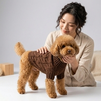Pull en laine marron écologique moderne pour animaux de compagnie, chien et chat, vêtements d'hiver