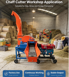 Machine à couper le foin multifonctionnelle pour l'élevage, style tendance, <span class=keywords><strong>prix</strong></span> compétitif, 800 kg/h, pour usage agricole - Product Image 4