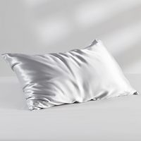 Housse de coussin en soie 100 % pure de mûrier, 16/19/22 Momme, 6A, haute qualité, pour les cheveux, vente en gros