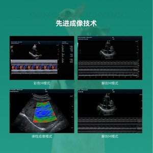 Máquina de Ultrasonido Veterinaria Pumaisi con Pantalla Táctil de Alta Definición Modo B para Diagnóstico Animal - Product Image 1