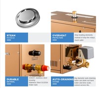 Harga Grosir Generator Uap Stainless Steel Emas Modern untuk Ruang Uap Basah dan Sauna dengan Daya 3KW-18KW