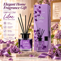Diffuseur à bâtonnets de style nordique 120 ml avec bouteille en verre transparent et bâtonnets en fibre pour le marché de la parfumerie d'intérieur moderne