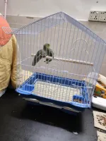 Nouvelle Cage à Oiseaux Innovante et Premium en Plastique Solide et Métal, Grande, Pliable, Double Couche, pour Perroquets et Autres Volailles, Vente en Gros Directe Usine
