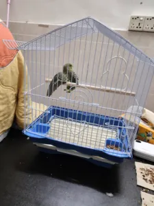 Nouvelle <span class=keywords><strong>Cage</strong></span> à Oiseaux Pliable Double Couche en Métal Premium pour Perroquets, Grand Format, Innovante, pour l'Élevage d'Oiseaux, Vente en Gros Directe Usine - Product Image 5