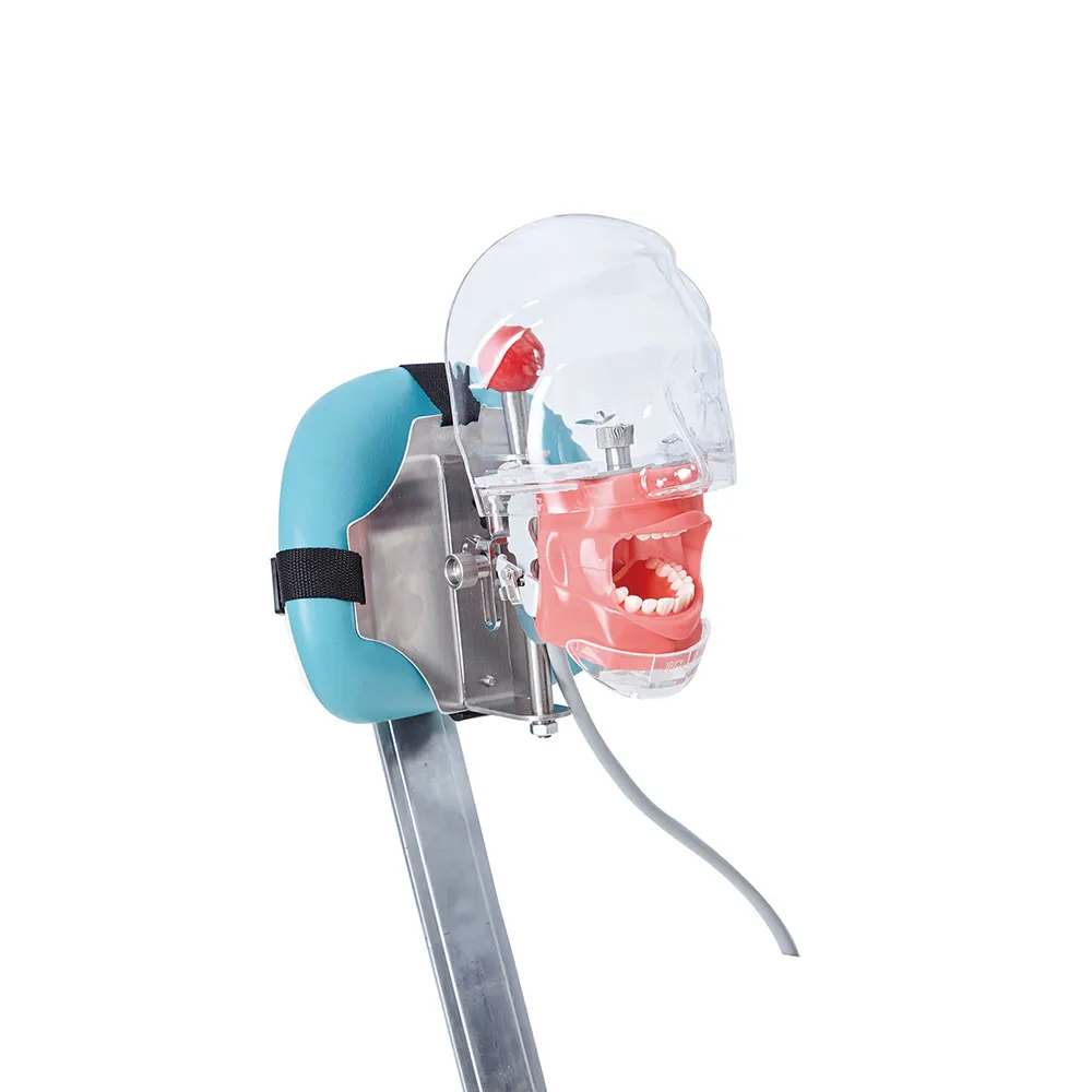 Ciencia médica para escuelas Simulador de entrenamiento fantasma dental Cabeza de maniquí Unidad de simulador dental