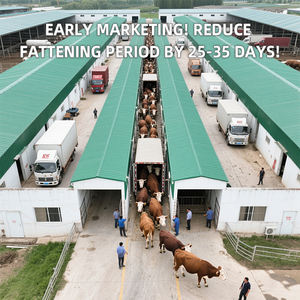 Complément alimentaire pour la prise de poids rapide des ruminants - Formule fermentée à base de plantes Shuniu 10 kg/sac Favorise une croissance saine et une qualité de viande - Product Image 4