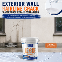 Revêtement Acrylique Transparent Anti-Graffiti Blue Kingfisher Facile à Nettoyer, Scellant Invisible Imperméable pour Murs d'Installations Publiques, Application au Pinceau