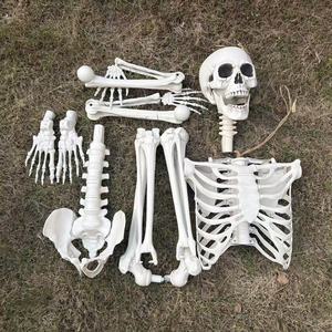 Squelettes d'Halloween pas chers, de 160 cm (5,4 pi / 5 pi), pour l'intérieur et l'extérieur, avec postures humaines, en vente - Product Image 6