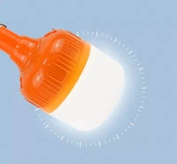 Vente en gros Panneau solaire d'urgence 20W 30W 40W Lampe de camping tente à led rechargeable USB pour l'extérieur