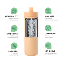 Bouteille d'eau en acier inoxydable avec revêtement en poudre antidérapant, ODM/OEM, avec couvercle à poignée, paille et infuseur à thé, et extérieur anti-transpiration