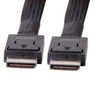 Câble haute vitesse OCuLink SFF-8611 4i vers SFF-8611 4i PCIe Gen4 pour interconnexion de stockage serveur, longueur = 0,8 m
