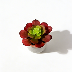 Suculenta Artificial Realista <span class=keywords><strong>de</strong></span> <span class=keywords><strong>Echeveria</strong></span> en Maceta <span class=keywords><strong>de</strong></span> Cerámica Gris <span class=keywords><strong>de</strong></span> 10.5 cm, Bonsái Artificial para Decoración <span class=keywords><strong>de</strong></span> Escritorio <span class=keywords><strong>de</strong></span> Oficina en Casa - Product Image 5