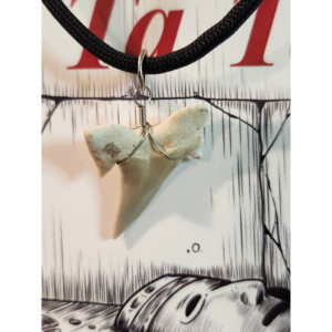 Copie signée de l'auteur du livre Le Relique du Ta Taal (Broché) Plus une Relique ! - Product Image 6