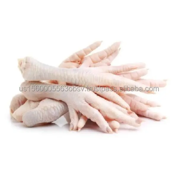 Patas de pollo congeladas para el mercado chino al mejor precio