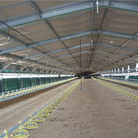 Conception moderne Structure en acier Bâtiments d'entrepôt préfabriqués Poulailler Maison pour poulets de chair Hangar de ferme Bâtiment pour volailles