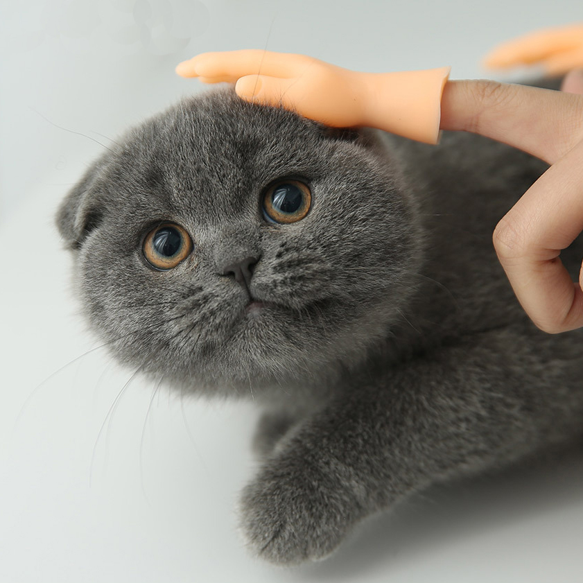 Pets Toys Special Cats Playing Props High Quality Materials Durable Puppy Toys