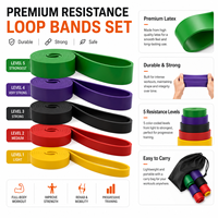 Bandas de Resistencia de Látex de Alta Calidad, Bandas de Fitness para Entrenamiento de Fuerza, Yoga y Ejercicios en Casa