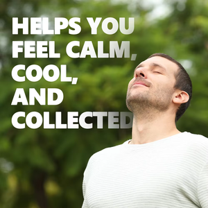 Sachets de thé bien-être anti-stress OEM ODM prêts à être expédiés – Mélange Camomille et Schisandra favorisant la relaxation et la gestion du stress – 15 sachets - Product Image 2