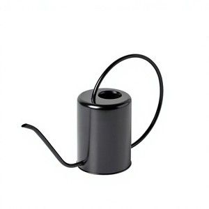 Arrosoir de luxe en fer noir avec long bec, finition peinte durable, outil de jardinage, arrosoirs, outils d'arrosage de jardin - Product Image 3