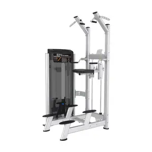SK Fitness ekipmanları üst ekstremite flexion ve uzatma eğitmen geri kas gücü egzersiz eğitimi yardımcısı pull-up makinesi