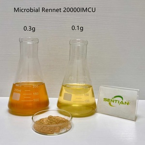 Rennet microbico per formaggio 9042-08-4 Rennet microbico Rennet <span class=keywords><strong>in</strong></span> <span class=keywords><strong>polvere</strong></span> - Product Image 2