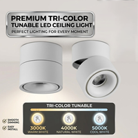 Plafonnier LED encastré 10W, certifié CE BIS, orientable, dimmable, spots LED encastrés