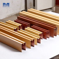 Mur-rideau vertical en aluminium sur mesure, découpe laser 3D, étanche, résistant à la corrosion, protection de la vie privée