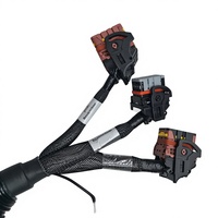 Harnais de câblage pour machines agricoles sur mesure et assemblages de câbles électriques automobiles