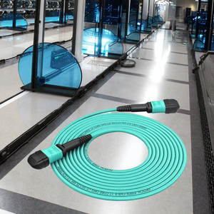 <span class=keywords><strong>MPO</strong></span>-<span class=keywords><strong>MPO</strong></span> 40g 100g đa sợi Jumper cáp 10 Gigabit 8 lõi 12 lõi bó cho trung tâm dữ liệu IDC IP Mạng sợi cáp quang - Product Image 4