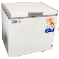 Congélateur horizontal à porte simple de 350 litres, congélateur commercial en acier inoxydable adapté aux restaurants et aux hôtels