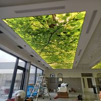 Plafond tendu en PVC, matériau ignifuge, film de décoration intérieure tendance, boîte à lumière en tissu rétroéclairé par LED