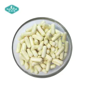 Nutribufirst – puissant système immunitaire végétalien, 30 milliards de capsules de prémélange de probiotiques CFU avec emballage sur mesure