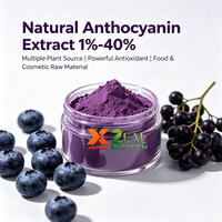 Ekstrak Antosianin Alami 1%-40% dari Ubi Ungu, Blueberry, Elderberry, Aronia, Sumber Antioksidan, Suplemen Diet Berbentuk Bubuk