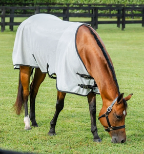 Tapis de cheval légers et durables pour une protection estivale fraîche, sèche et confortable toute la journée - Product Image 6