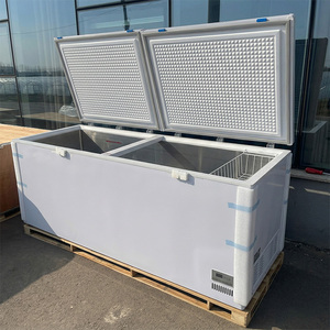 Congelador Horizontal de Puerta Sólida de Ahorro Energético, Congelador Rápido para Alimentos - Product Image 5