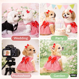 Ropa para Mascotas al por Mayor, Vestido para Perros y Gatos con Diseño a Rayas, Prenda Elegante con Tela Suave y Transpirable para Gatos, Cachorros y Perros de Raza Pequeña - Product Image 3
