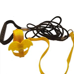 Mascota loro pájaro arnés correa ajustable pájaro vuelo arnés cuerda de tracción con lindo ala para loros - Product Image 6