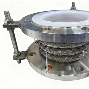 PTFE bù/mở rộng doanh/mở rộng doanh/cao su PTFE bù cao su Composite ống thổi giảm xóc - Product Image 1